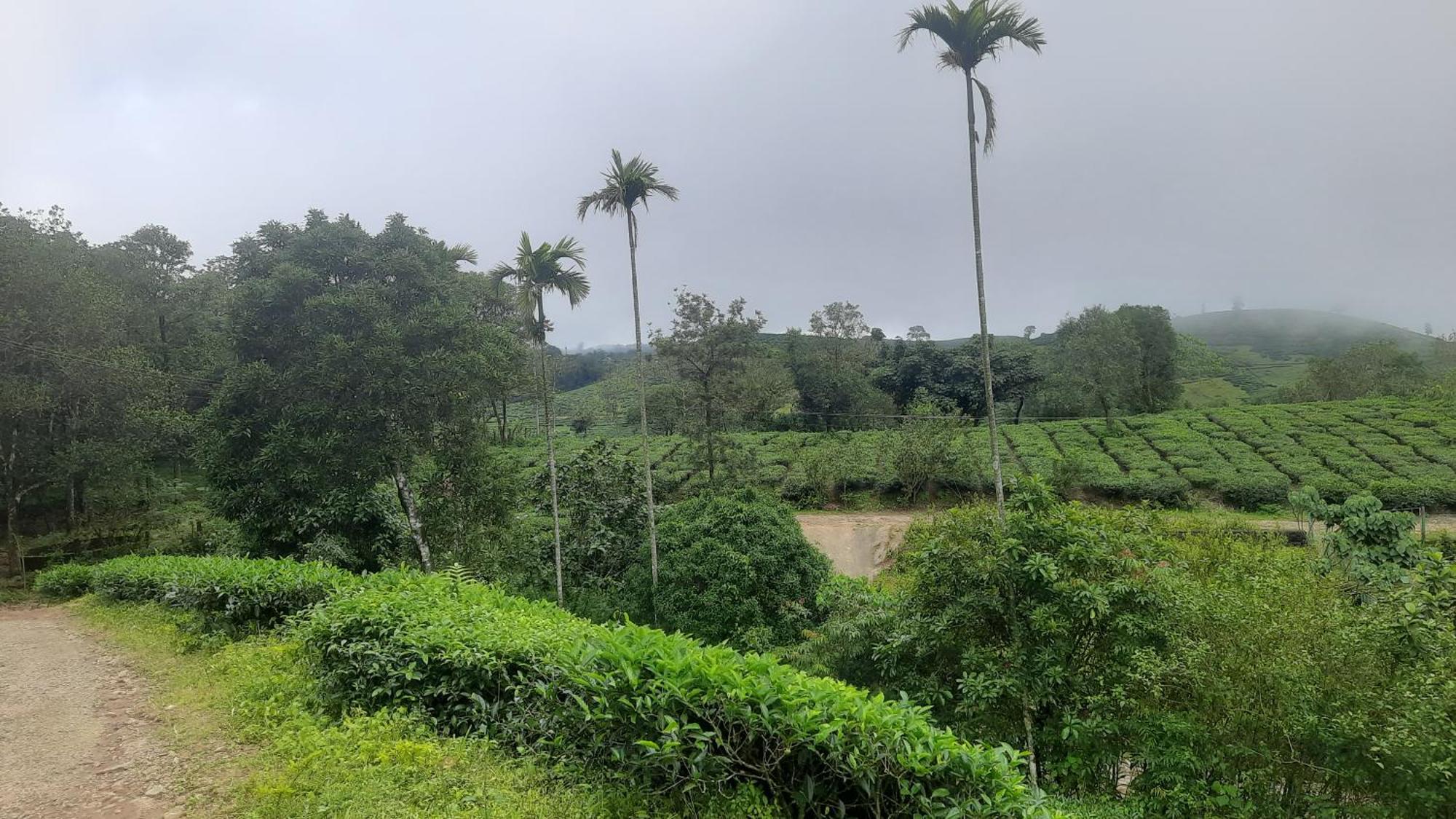 Paradise Meadows Vagamon Εξωτερικό φωτογραφία